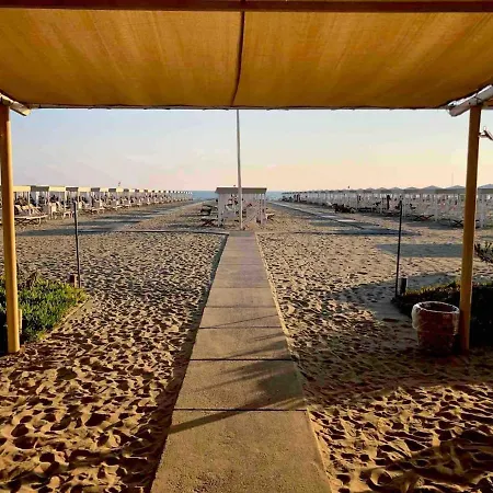 New Duplex In The Center Of *